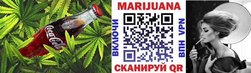 Canna-Cookies марихуана  omg как зайти  Солнечногорск 