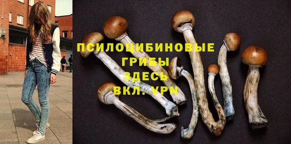 ALPHA PVP Алексин