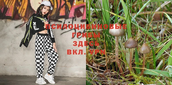 Альфа ПВП Алексеевка
