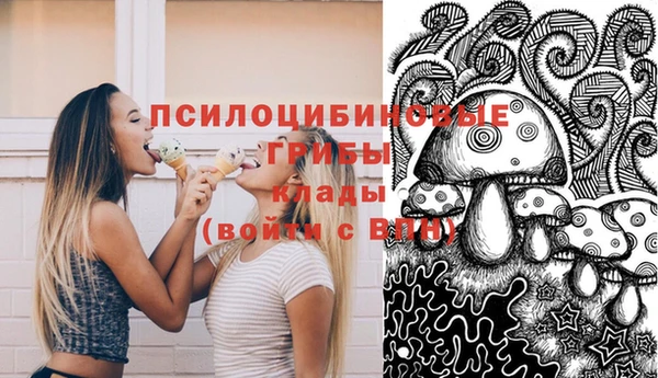 a pvp Алзамай